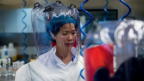 china top virologist batwoman shi zhengli Big Claim On Corona Virus return reports