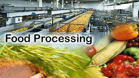 Food Processing