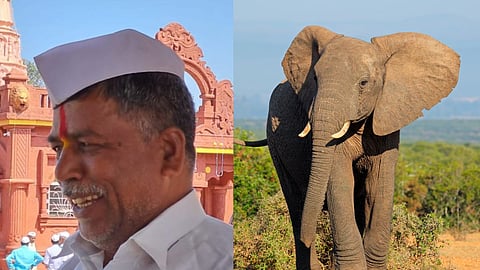 animal attack forest officer employee killed in elephant attack ghatkarwadi forest incident kolhapur marathi news