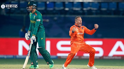 South Africa vs Netherlands