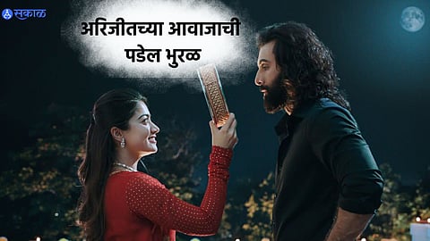 Animal Satranga Song