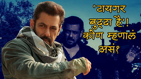 Tiger 3 Salman Khan krk tweet viral