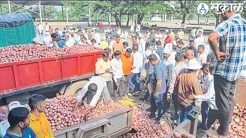 Summer Onion Auction held at Market Committee on Wednesday.