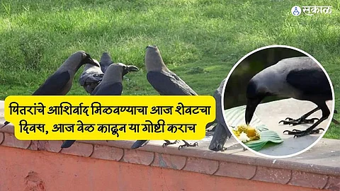 Sarva Pitru Amavasya 2023