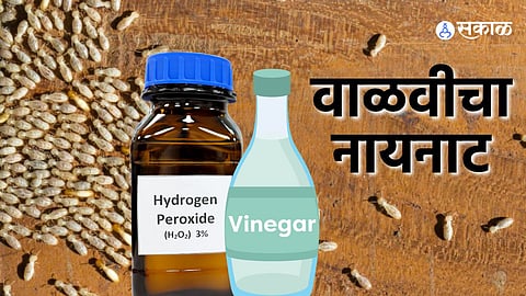 Home Care Tips, how to get rid of termites