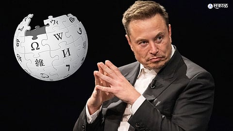Elon Musk Wikipedia