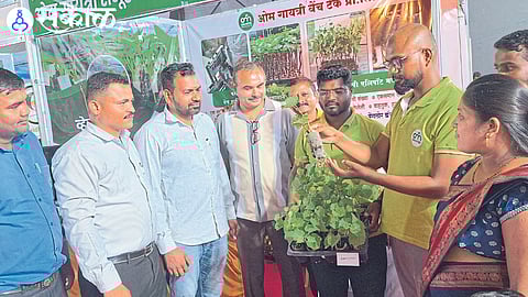 Agrowon Exclusive Grape Expo started by Sakal Agrowon nashik news