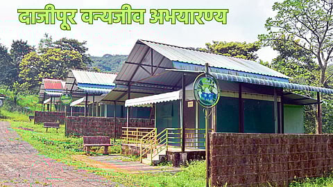 Radhanagari-Dajipur Wildlife Sanctuary