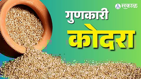 Kodo Millet चे फायदे