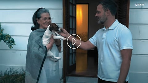 Rahul Gandhi New Puppy