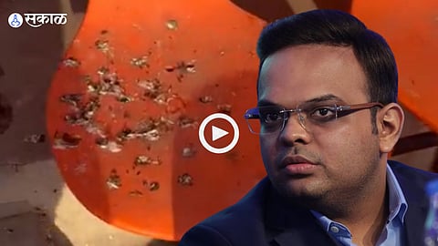 World Cup 2023 : 'सर्वात श्रीमंत क्रिकेट बोर्डाकडे स्टेडियममधील खुर्च्या साफ करण्याचे देखील नाहीत पैसे'