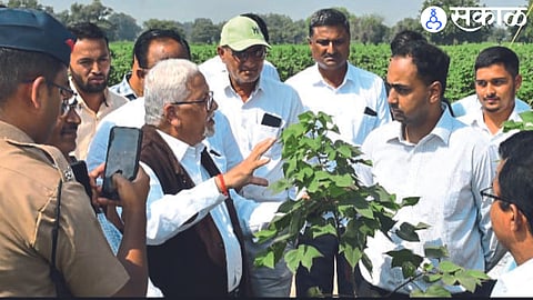 Dr. Ayush Prasad, the bollworm control technician in Kopus, informed. B. D. jade