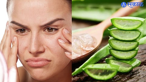 Combination Skin Facepack