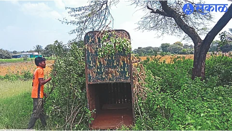A cage installed by the Forest Department near Dashrath Bhagat's farm.