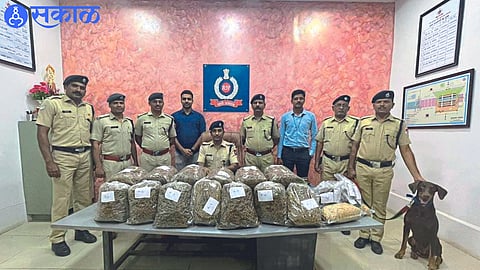 RPF inspector Radhakishan Meena along with staff and Shravan squad personnel while seizing the ganja.
