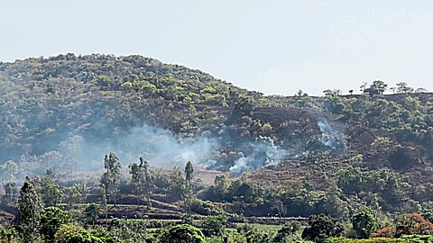 Western Ghat Biodiversity Crisis