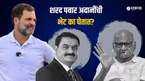 Sharad Pawar-Gautam Adani