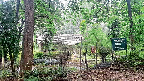 biodiversity research break in Teravan-Medha environment kolhapur marathi news