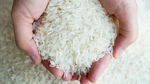 rice