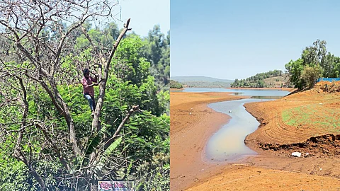 Western Ghat Biodiversity Crisis