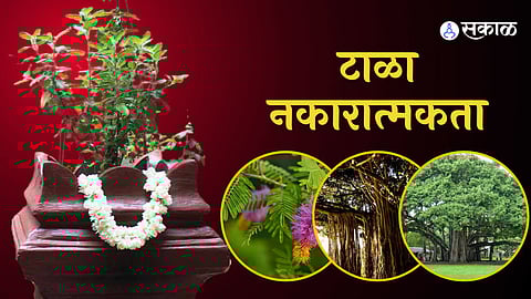 Vastu Tips टाळा नकारात्मकता