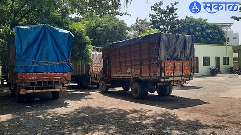 illegal felling trees nashik