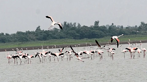 solapur