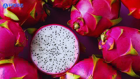 Benefits Of Dragon Fruit