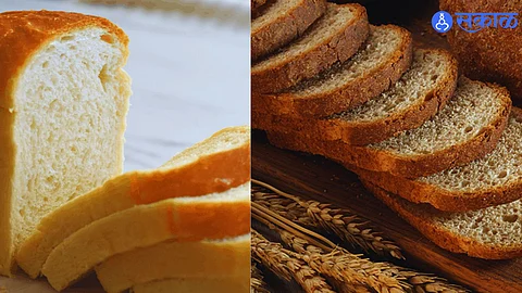 White Bread VS Brown Bread :व्हाईट आणि ब्राऊन ब्रेडमध्ये कोणता ब्रेड आरोग्यासाठी नुकसानकारक आहे ?