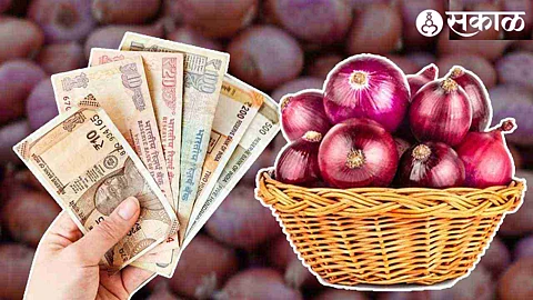 Onion Rates Hike