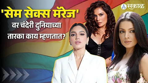 Same Sex Marriage bhumi pednekar to richa chaddha