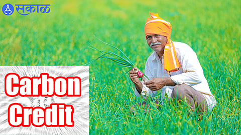 Farmers will get carbon credit in state maharashtra news