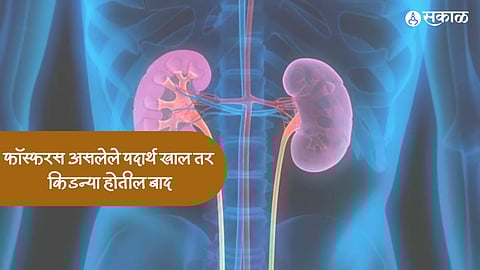 Healthy Diet : फॉस्फरस असलेले पदार्थ खाल तर किडन्या होतील बाद, या पदार्थांचे सेवन वाढवेल किडनीचे आयुष्य