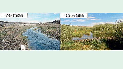 River revitalization story