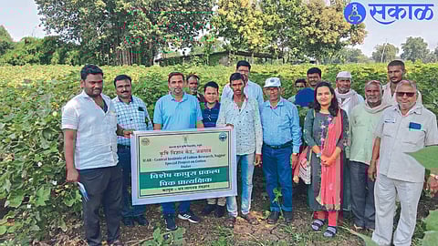 Special Cotton Project Crop Demonstration Dr. Jayant Meshram giving information about Dada Lad cotton technology. Along with Dr. Swati Kadam etc.