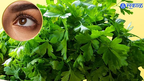 Benefits of Green Coriander