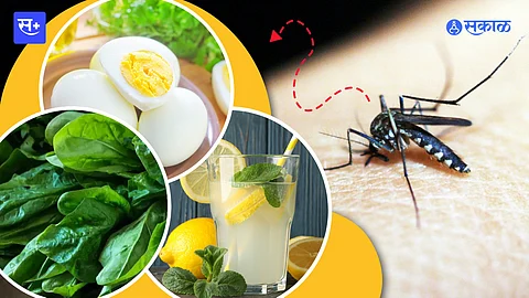 dengue diet