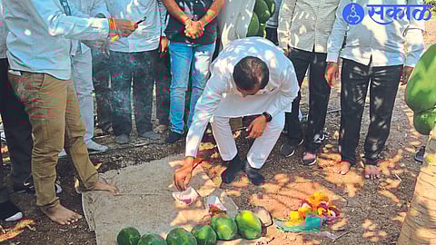Abhijit Patil, President of Nandurbar District Banana, Papaya Fruit Growers Association, started this year's papaya season by worshiping papaya.