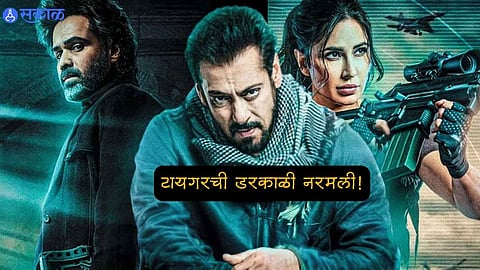 salman khan tiger 3
