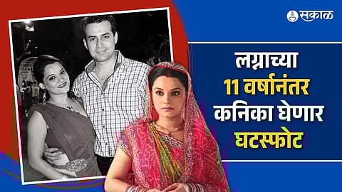 Kanika-Ankur Divorce: