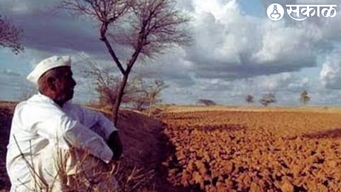 Unseasonal rain Crisis