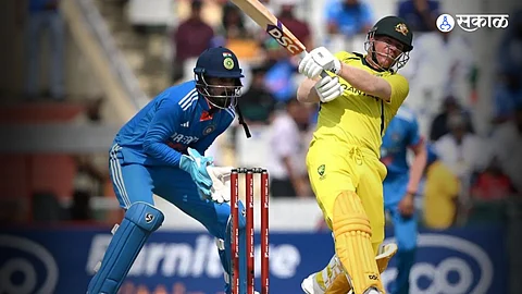 David Warner Out Of T20 Series