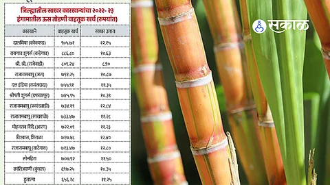 Sugar Factories