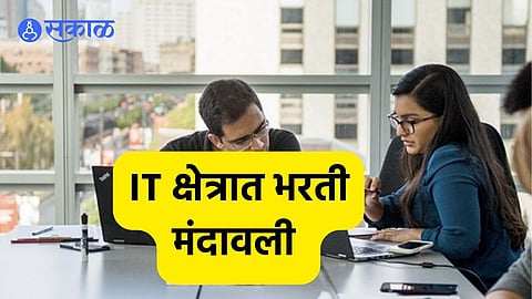 IT Sector Jobs: आयटी क्षेत्रातील भरती 'थंड'! 'या' कौशल्यांची वाढली मागणी, जागतिक अस्थिरतेचा परिणाम भारतावर