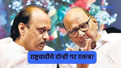 Winter Session: दोन्ही राष्ट्रवादीचे 'हम साथ साथ है' ? हिवाळी अधिवेशनात स्वतंत्र कक्षाची मागणी नाही