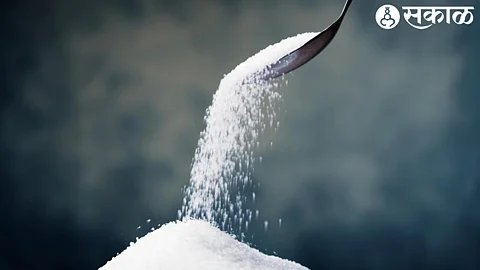 Sugar