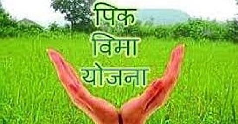 crop insurance scheme