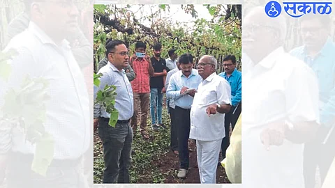 While inspecting the damaged area in the taluka on Wednesday, Agriculture Commissioner Praveen Gedam, D. B. Mughal etc.