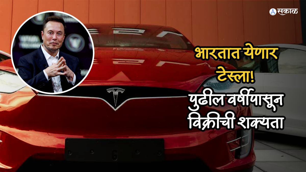 Tesla India Import and factory