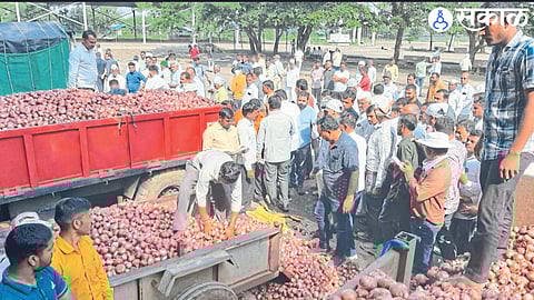 Arrival of summer onion held on Wednesday at the premises of Agricultural Produce Market Committee.